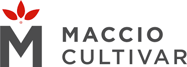 Maccio